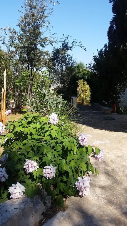 Villa Massa Piscina 滨海波利尼亚诺 外观 照片